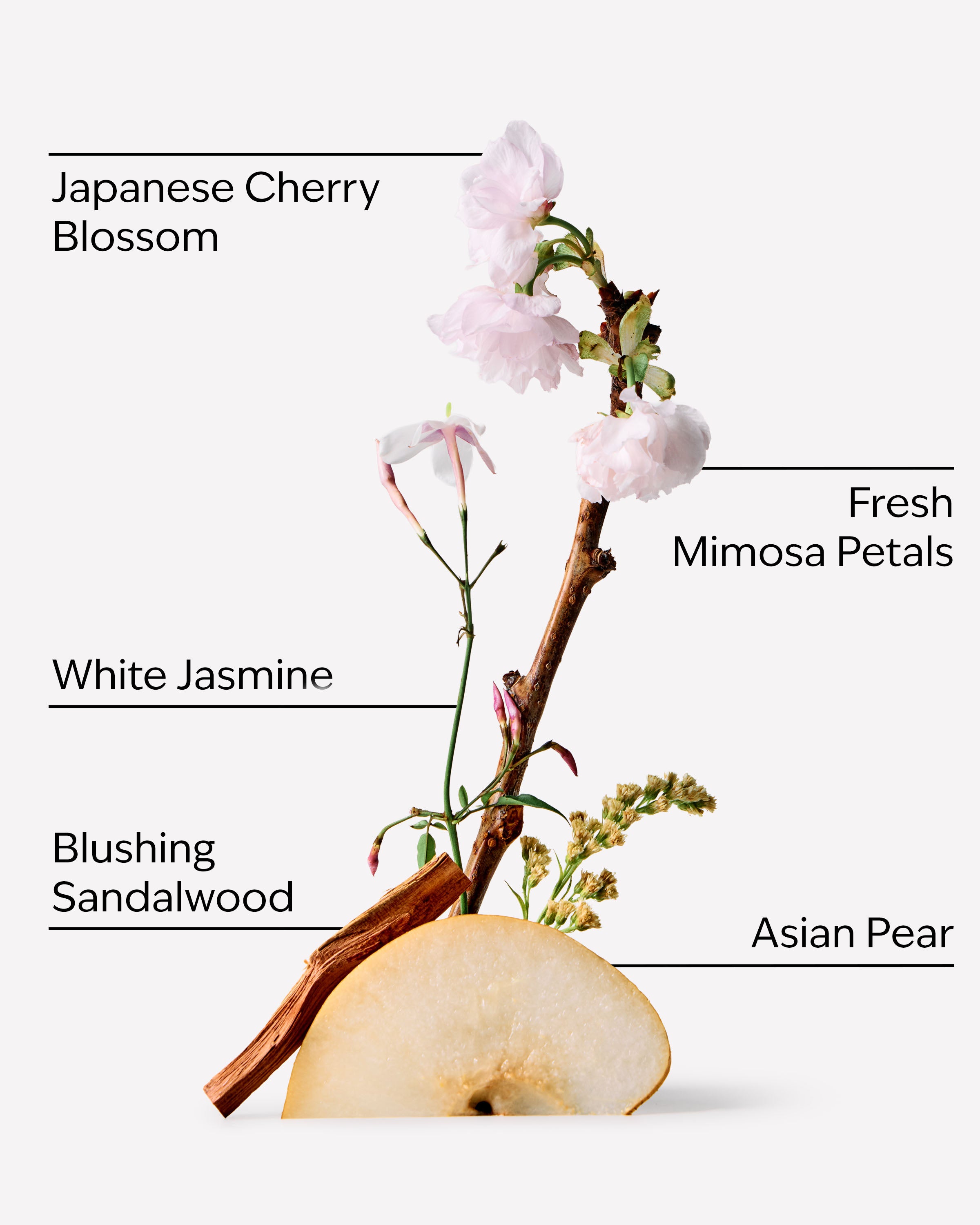 Japanese Cherry Blossom Gift Set - Image 3