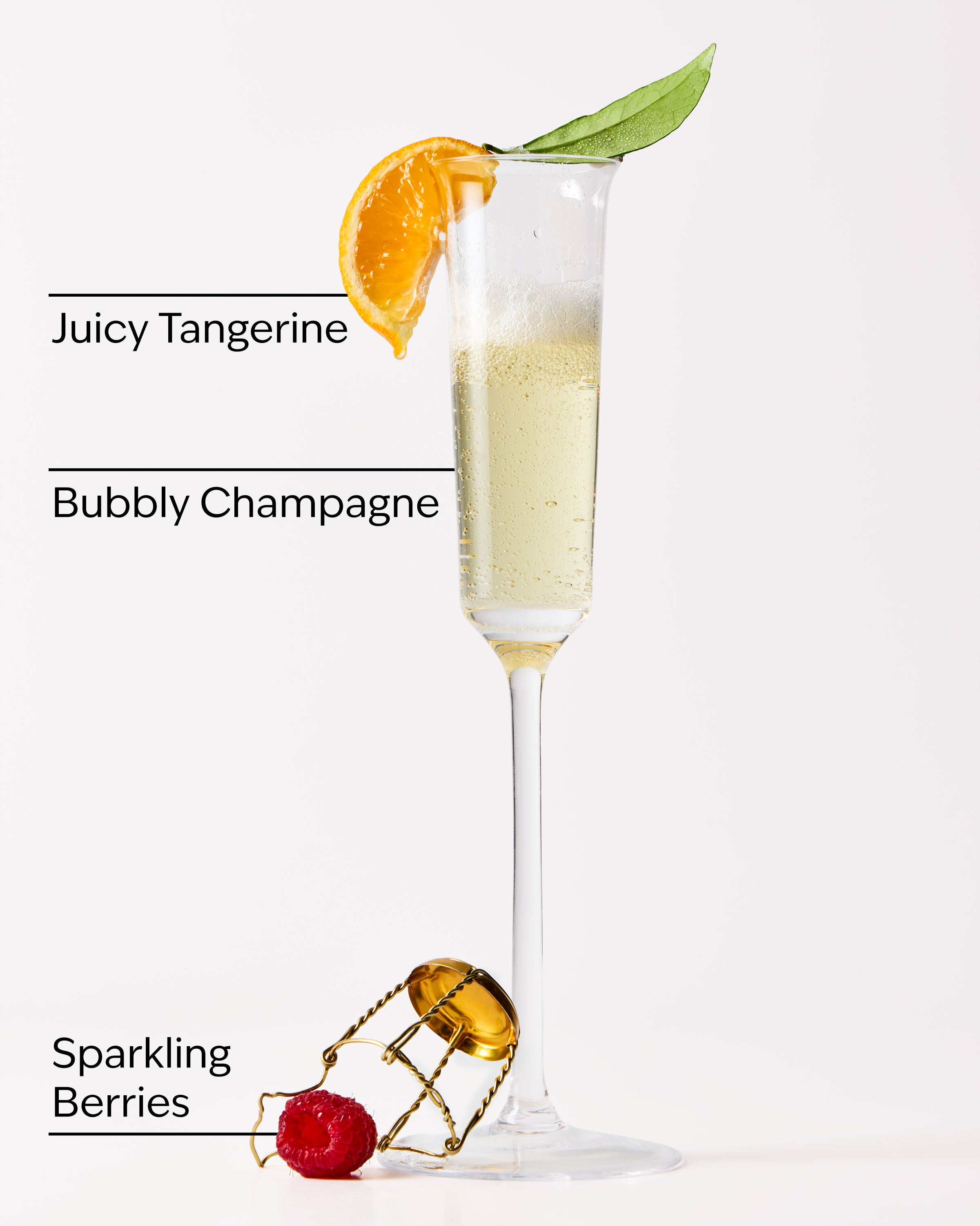 Champagne Toast Gift Set - Image 3