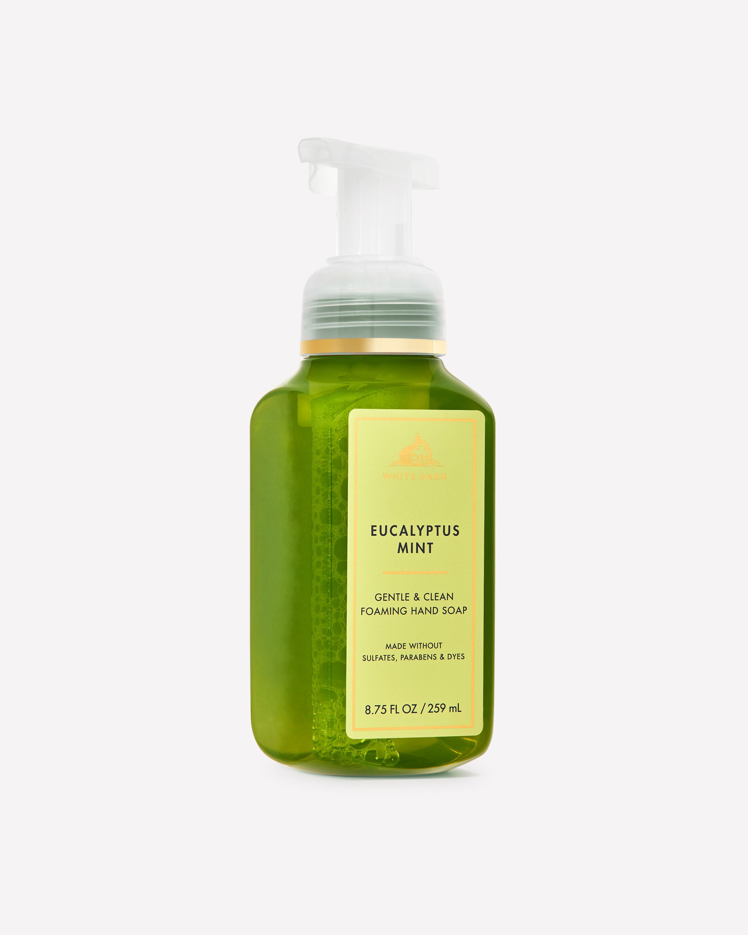 Eucalyptus Mint Gentle & Clean Foaming Hand Soap