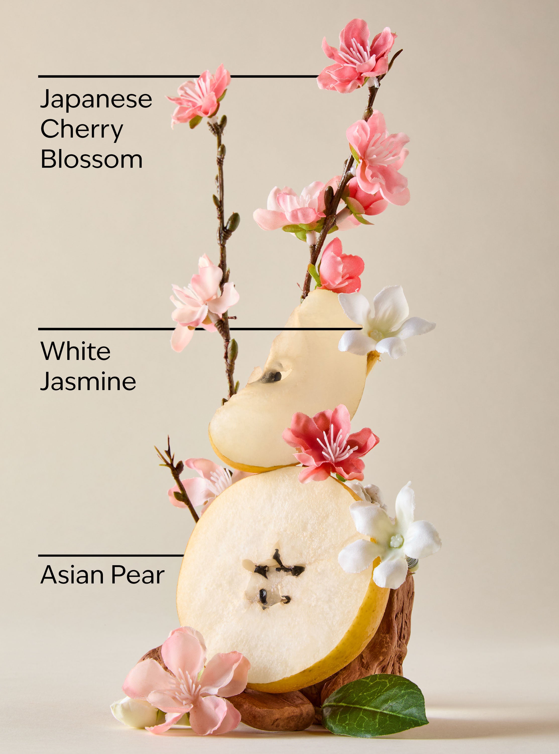 JAPANESE CHERRY BLOSSOM - Image 2