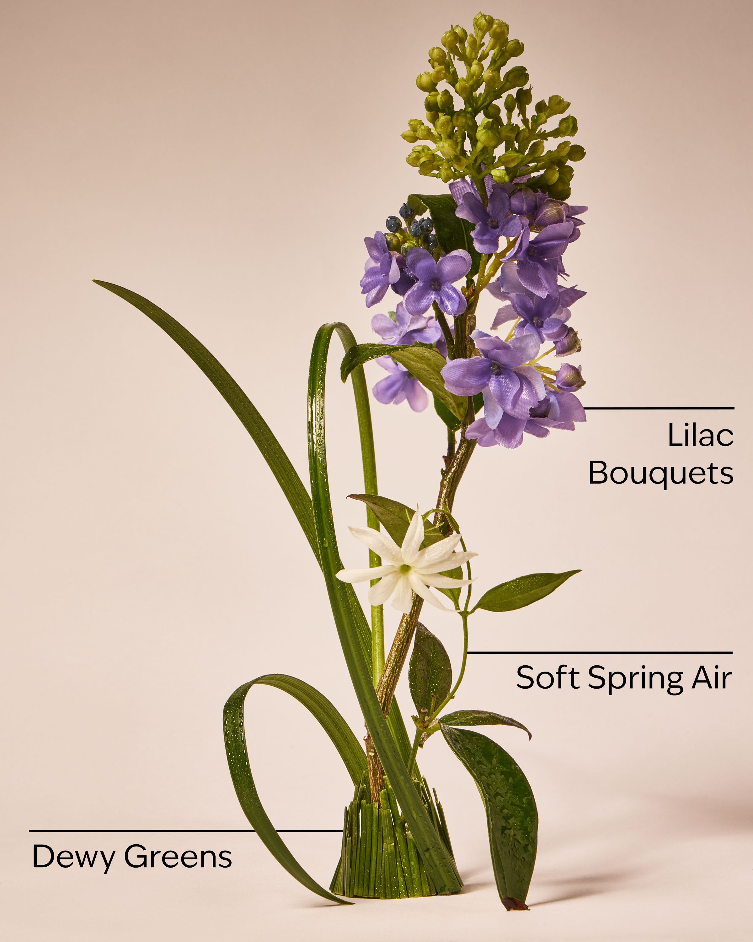 FRESH CUT LILACS - Image 3
