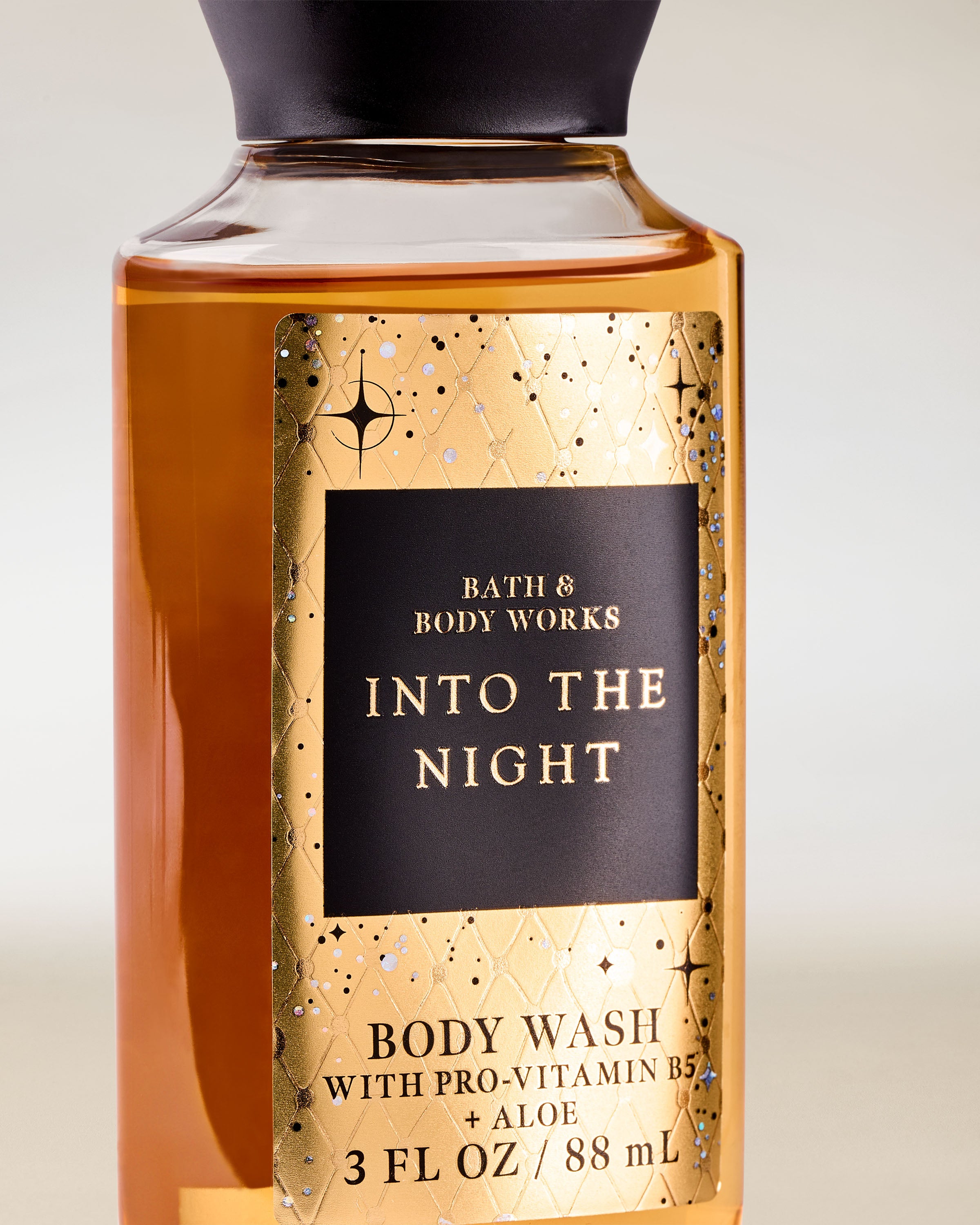 INTO THE NIGHT - Image 2