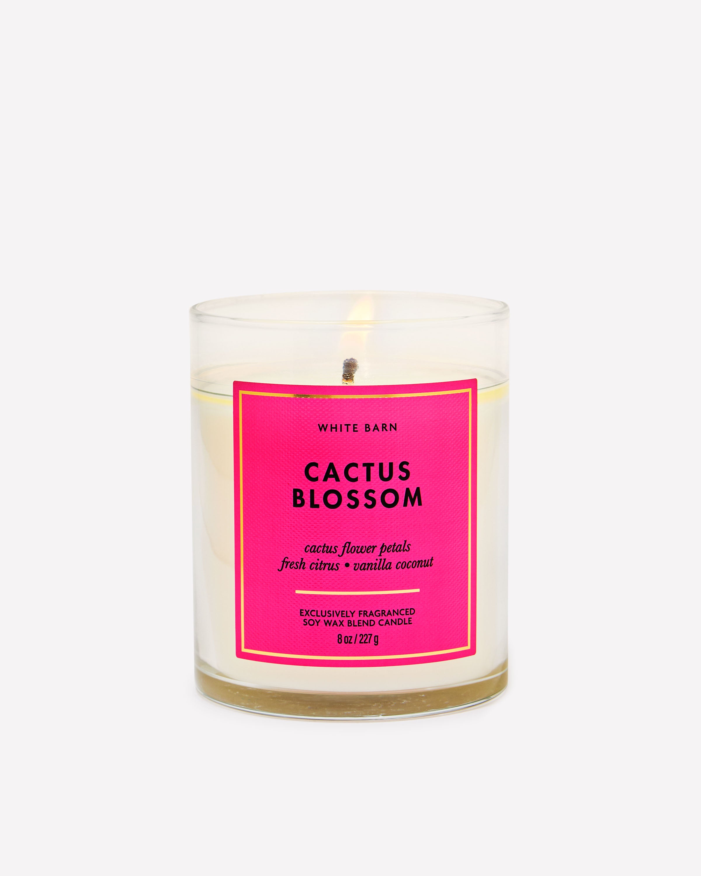 Cactus Blossom
