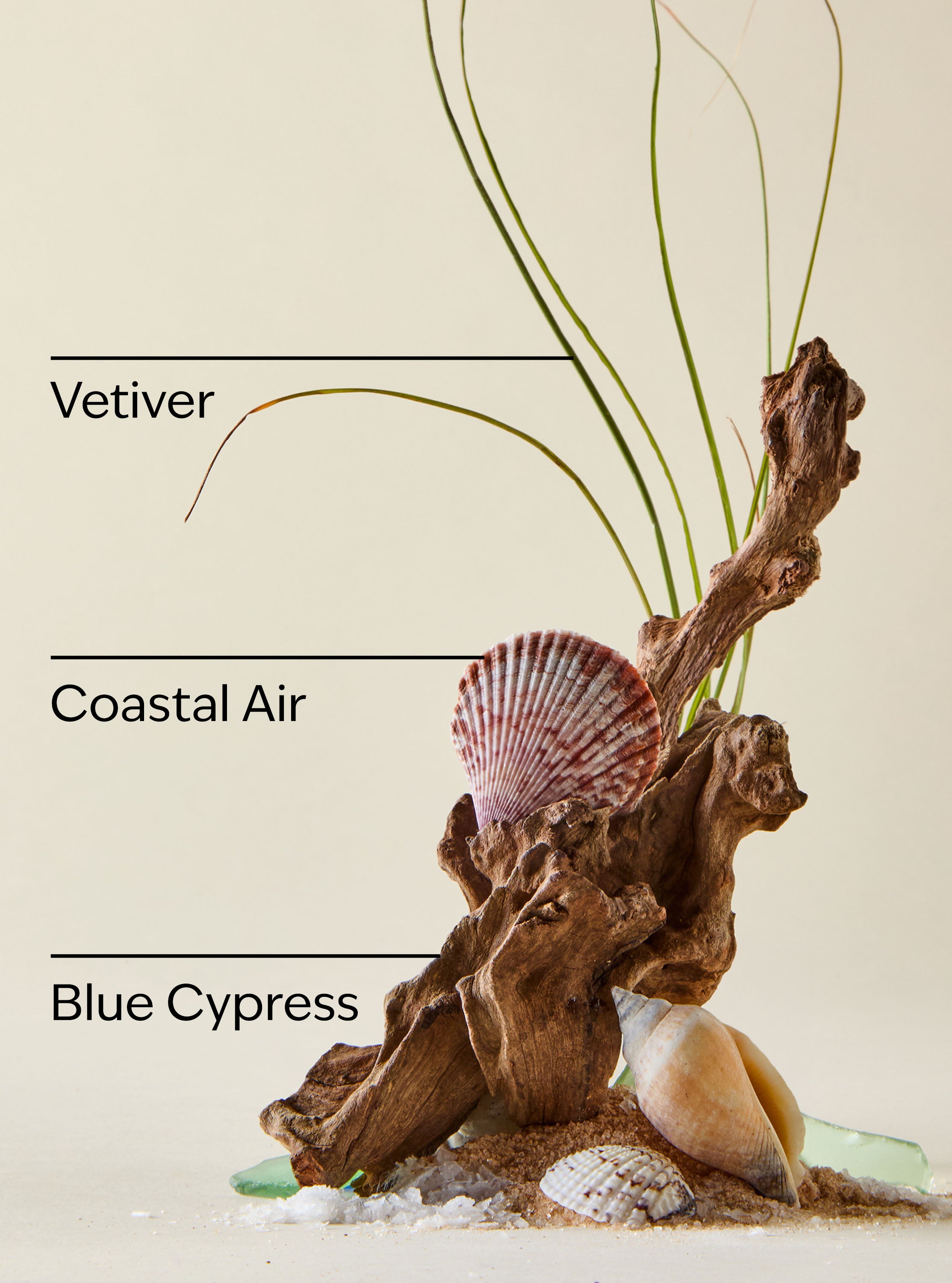Ocean Concentrated Room Spray - Image 2