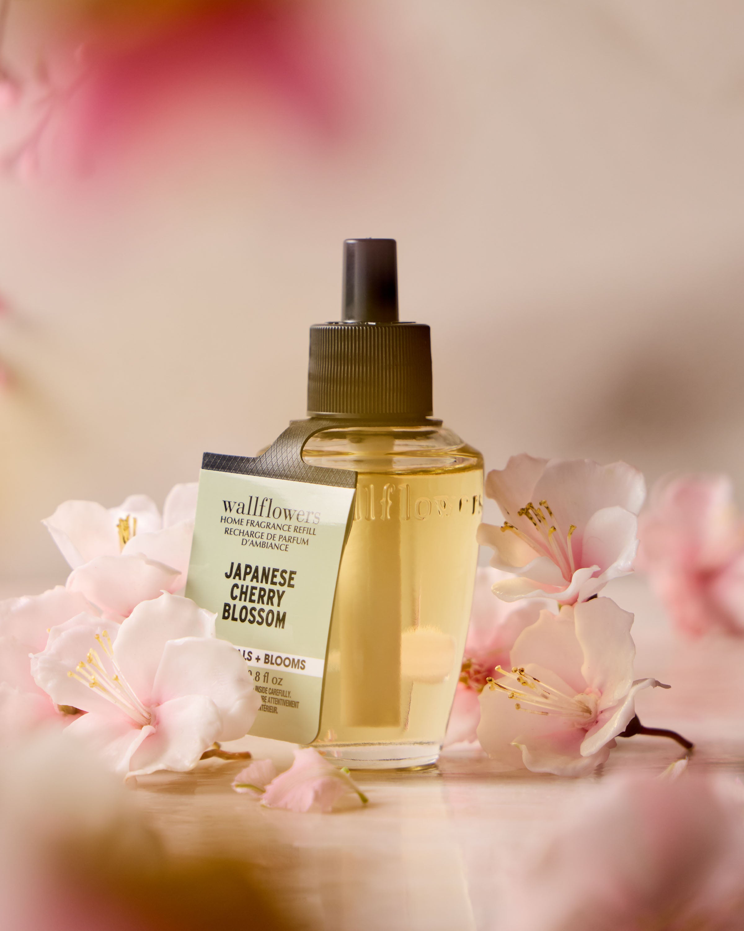 JAPANESE CHERRY BLOSSOM - Image 6