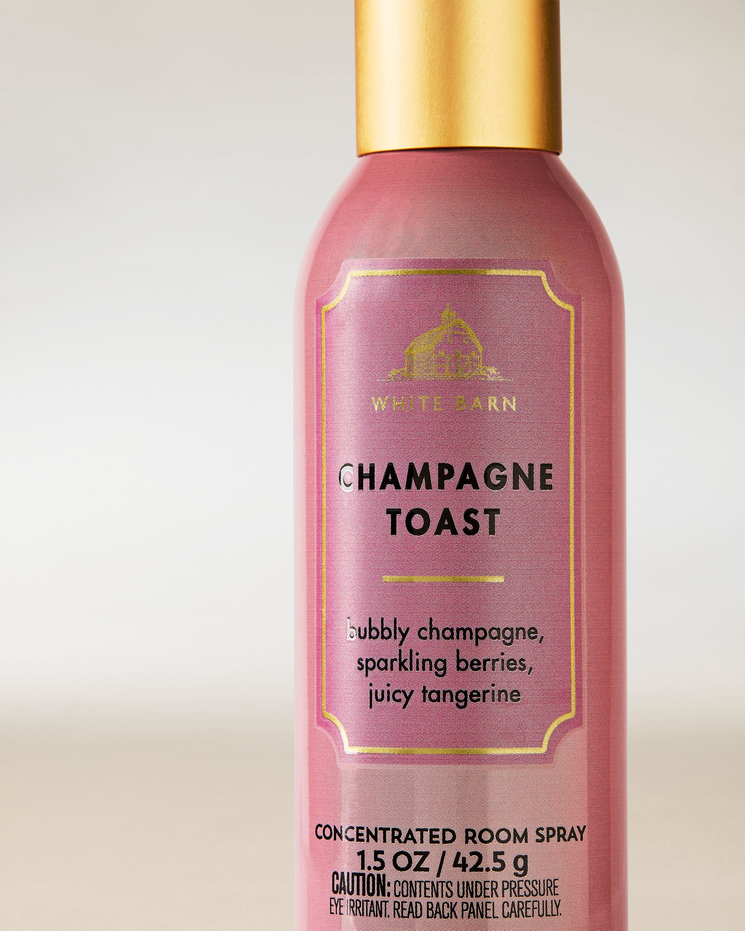 Champagne Toast-5709 - Image 2