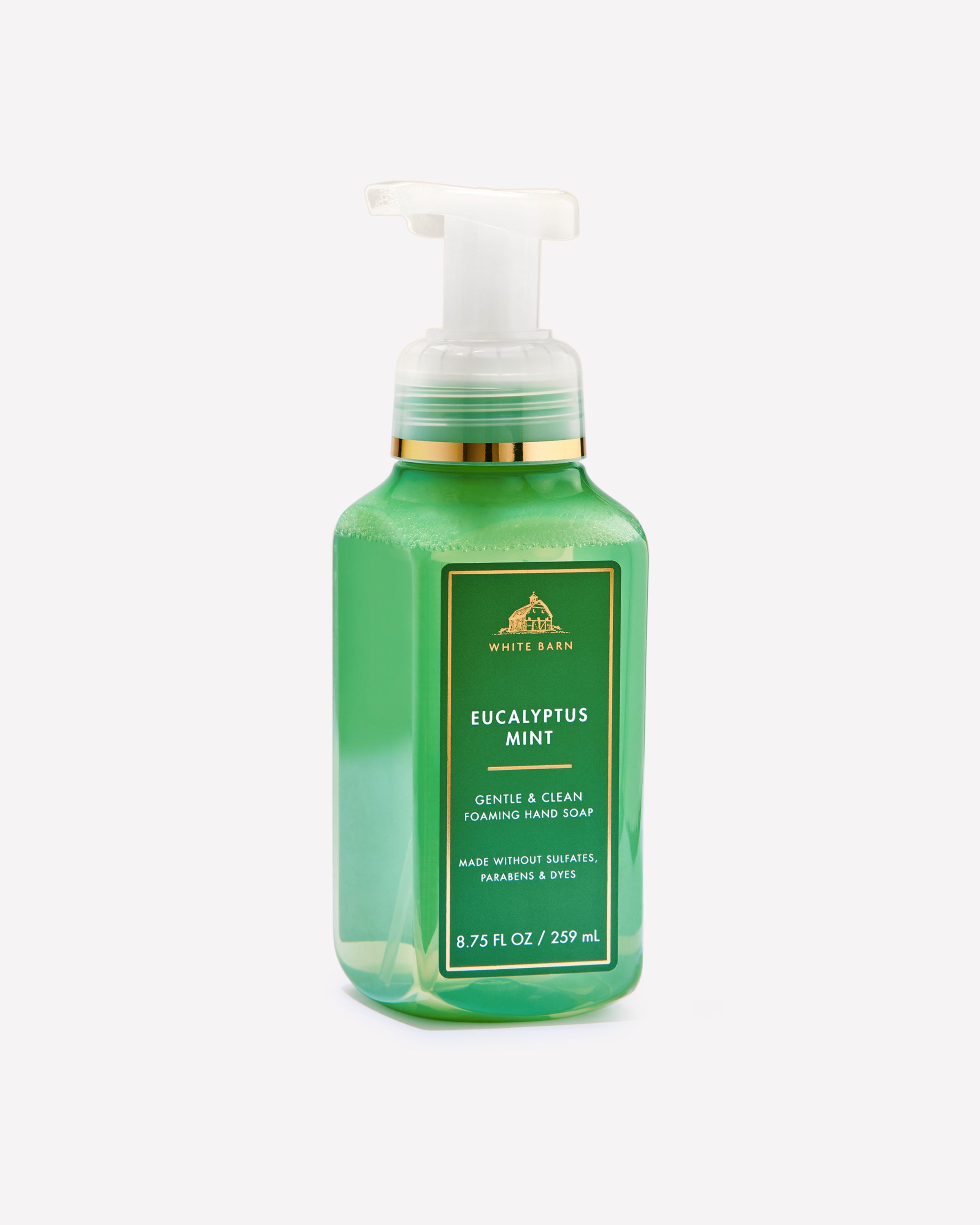 Eucalyptus Mint (Recolor)