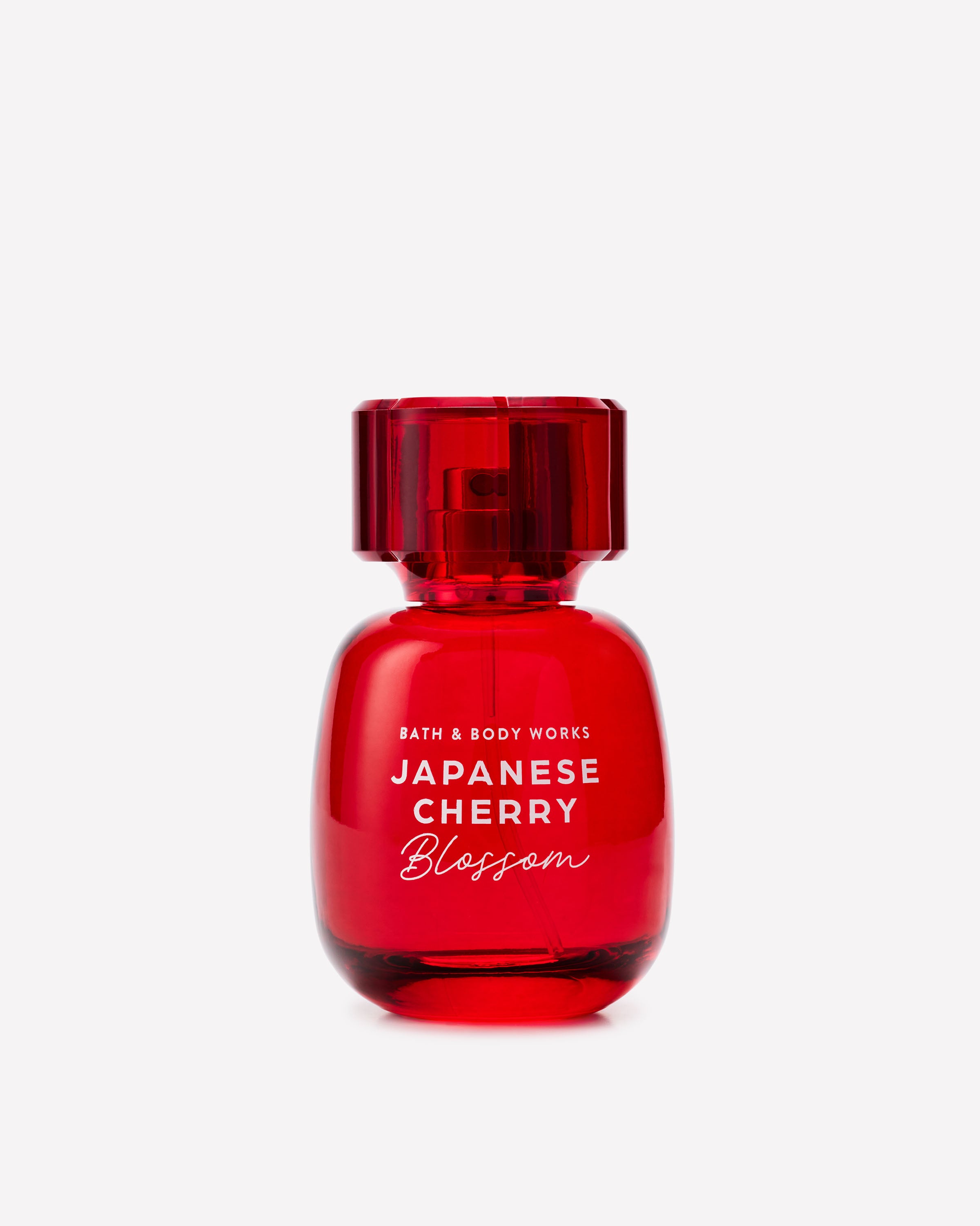 JAPANESE CHERRY BLOSSOM - Image 4