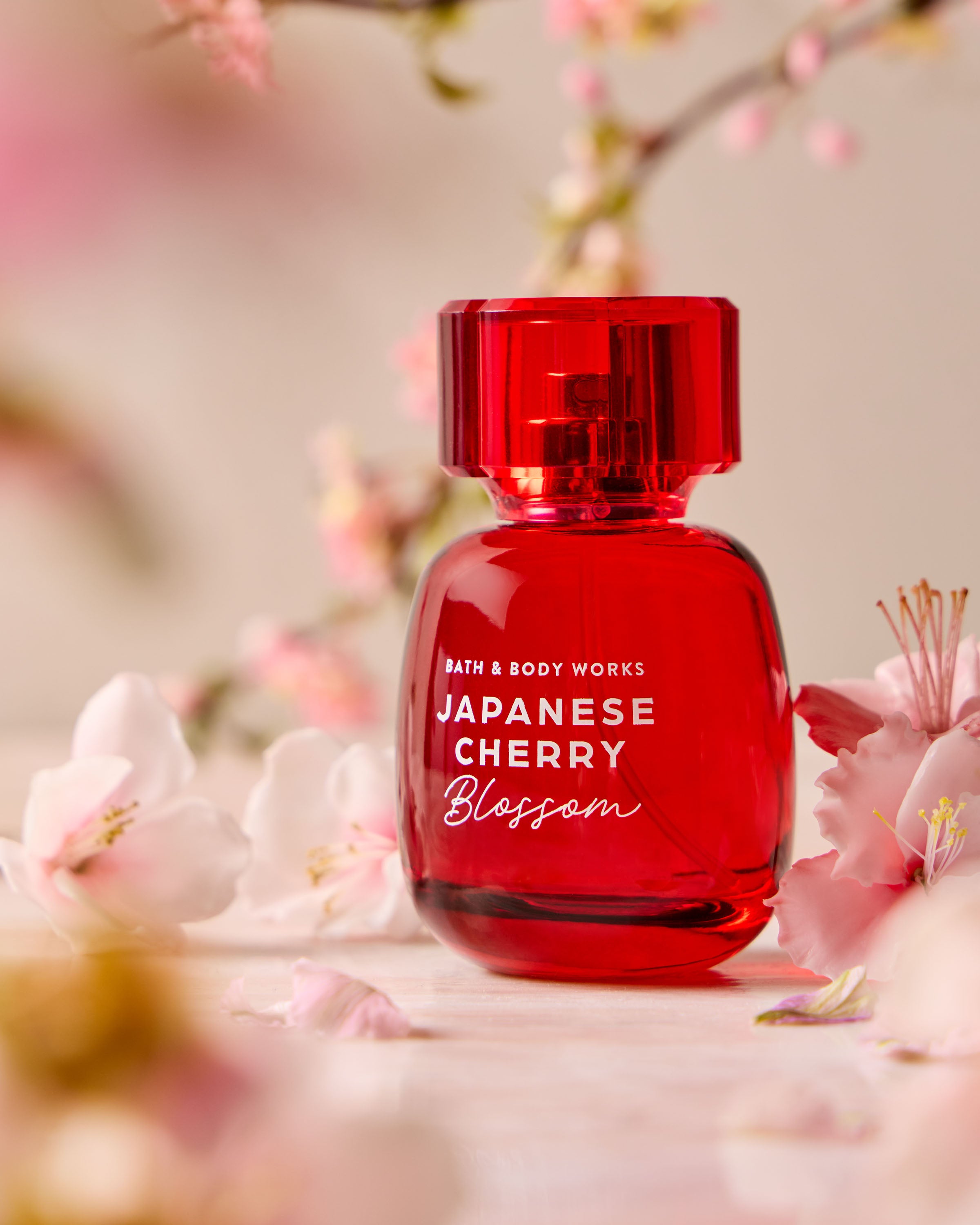 JAPANESE CHERRY BLOSSOM - Image 8