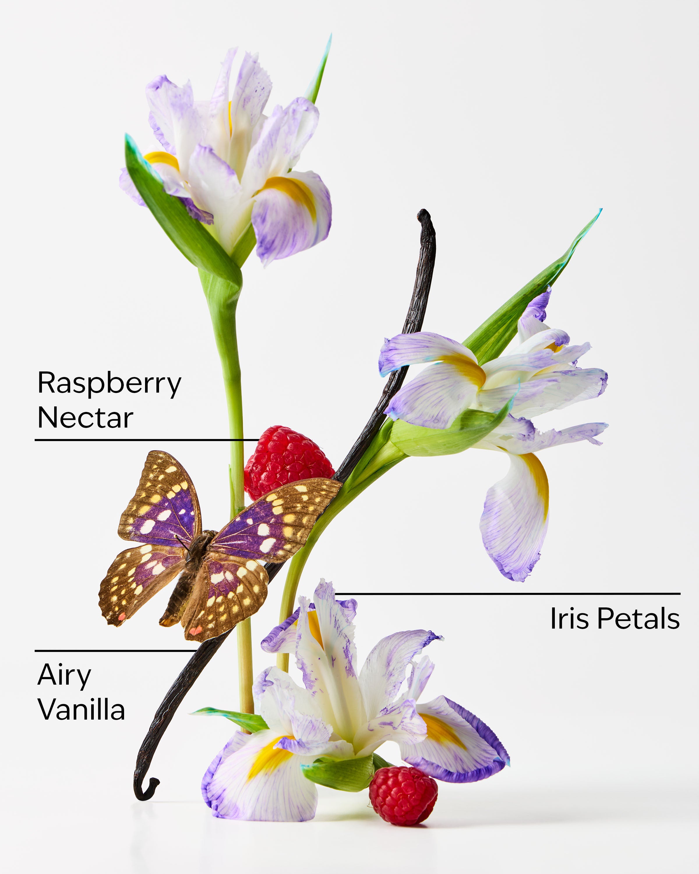 Butterfly - Image 2