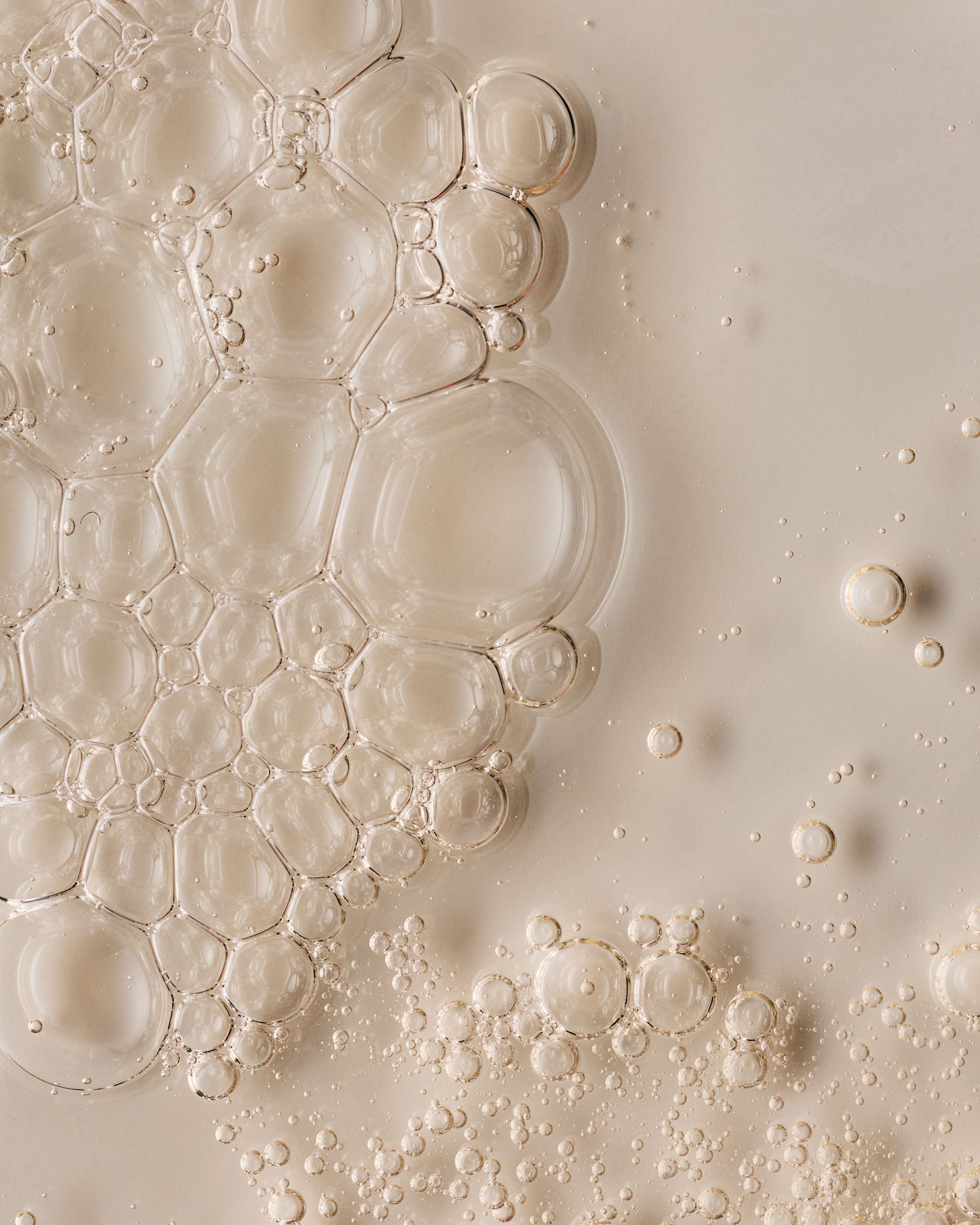 Forever Cherry Blossom Body Wash - Image 5