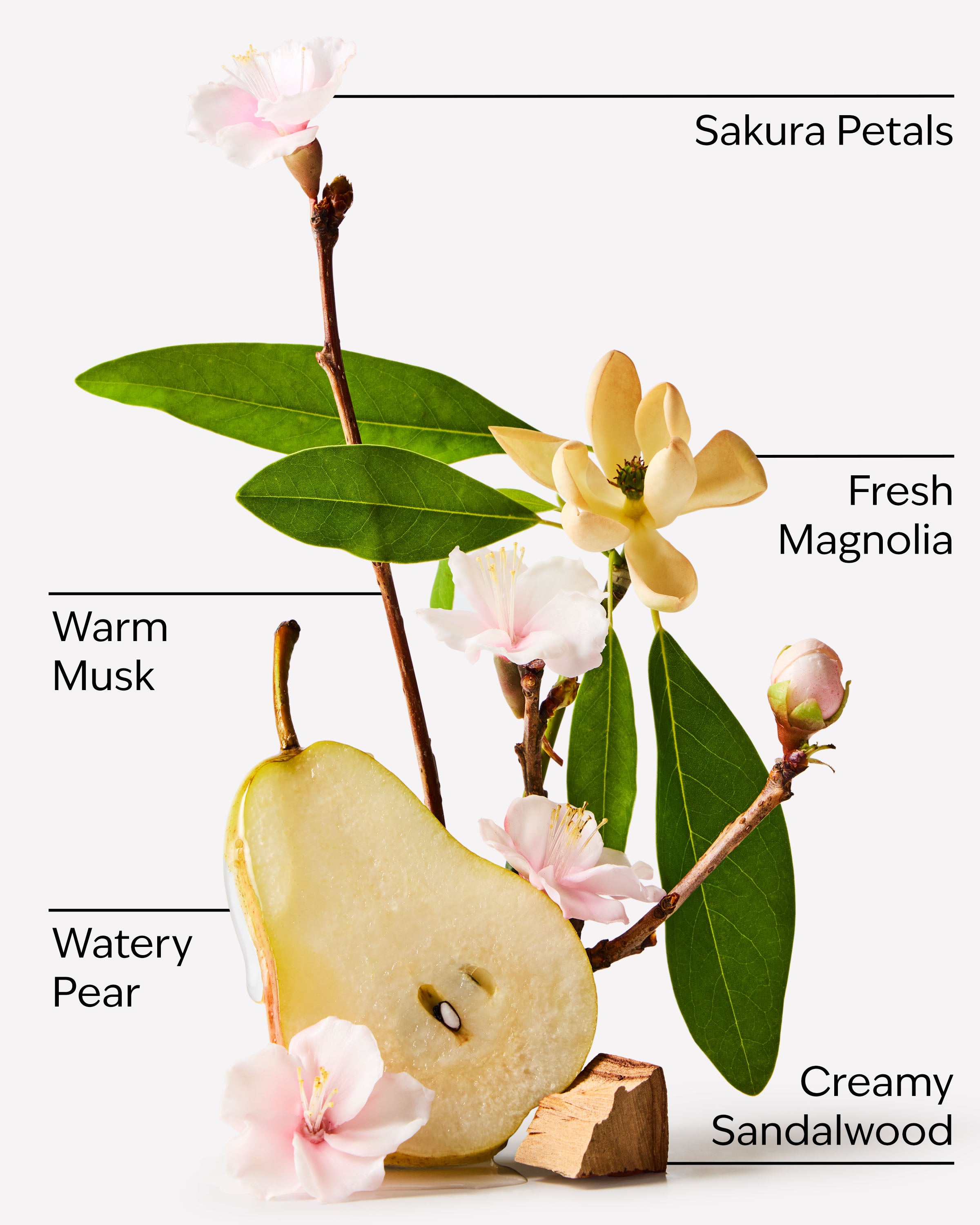 Forever Cherry Blossom Eau De Parfum - Image 3