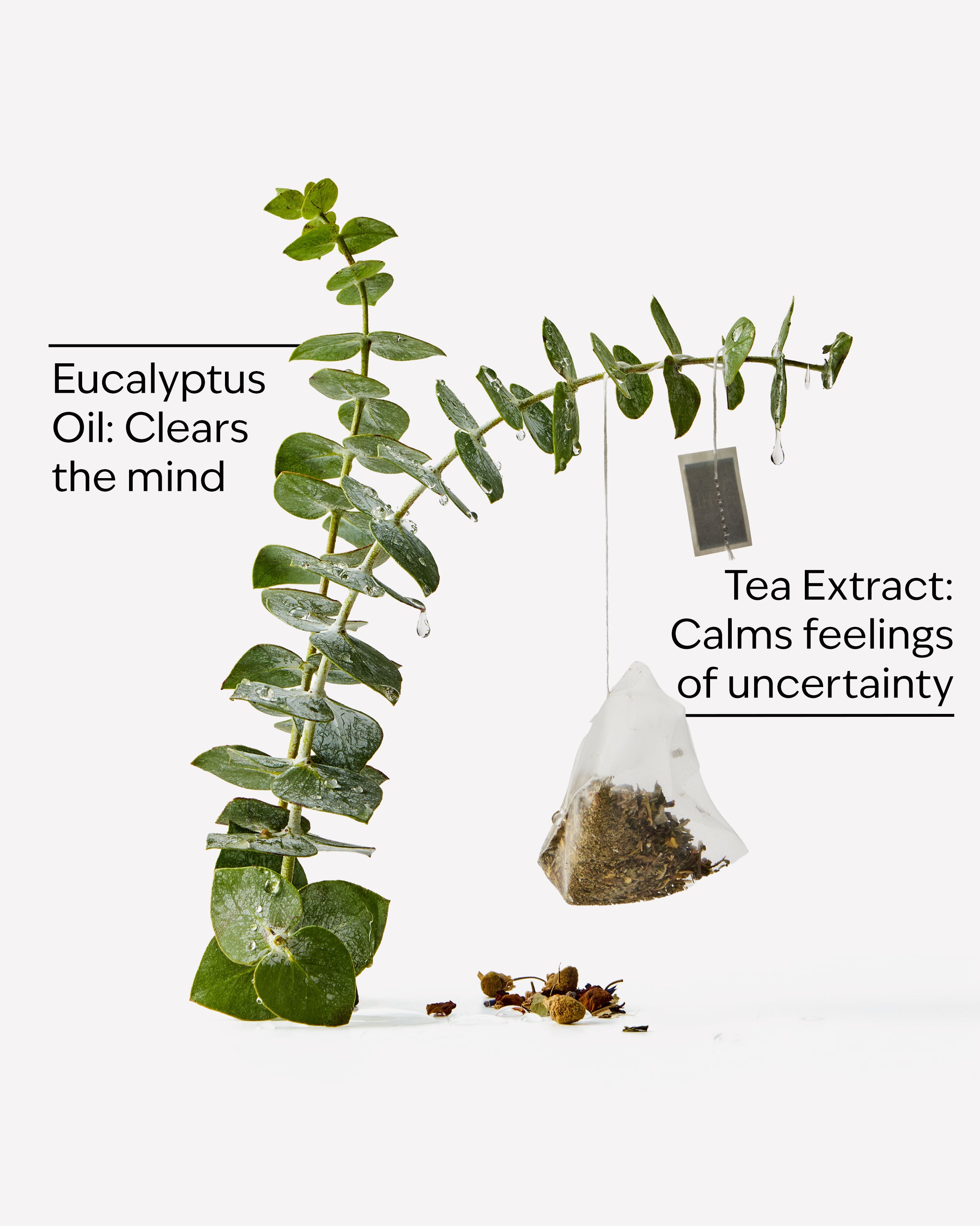 Stress Relief: Eucalyptus + Tea Body Wash & Foam Bath - Image 3