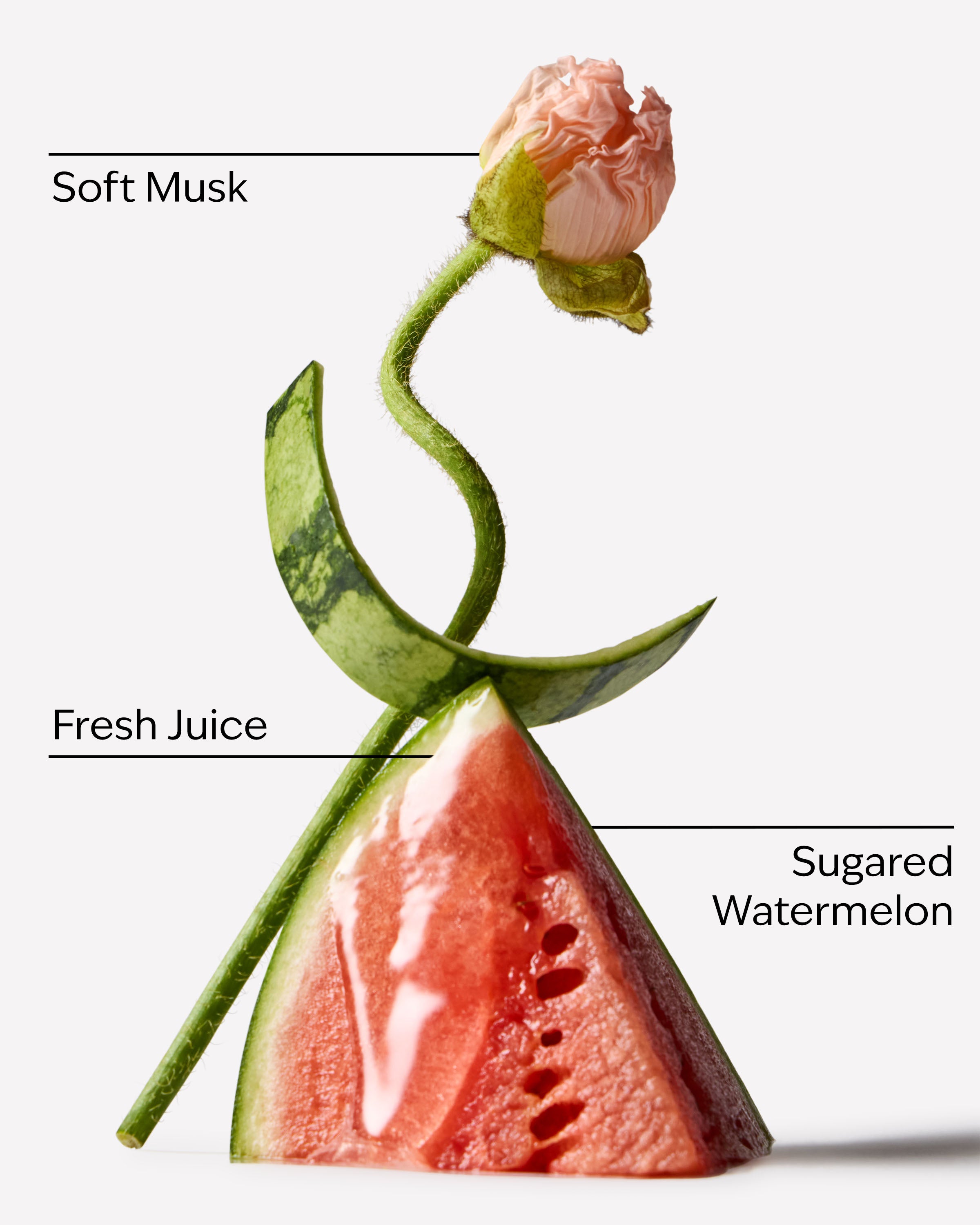 Watermelon Whirl - Image 3