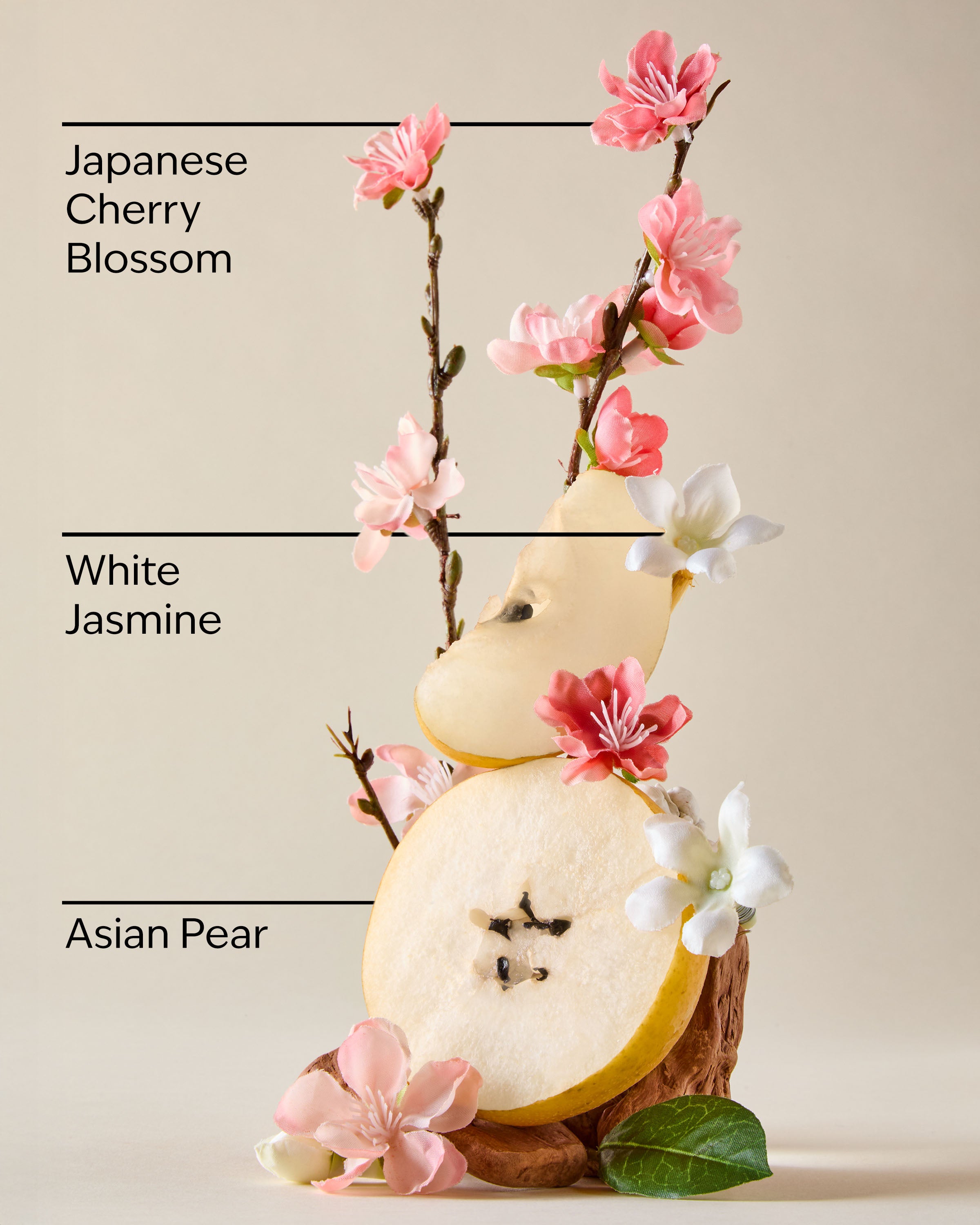 Japanese Cherry Blossom 3-Wick Candle - Image 3