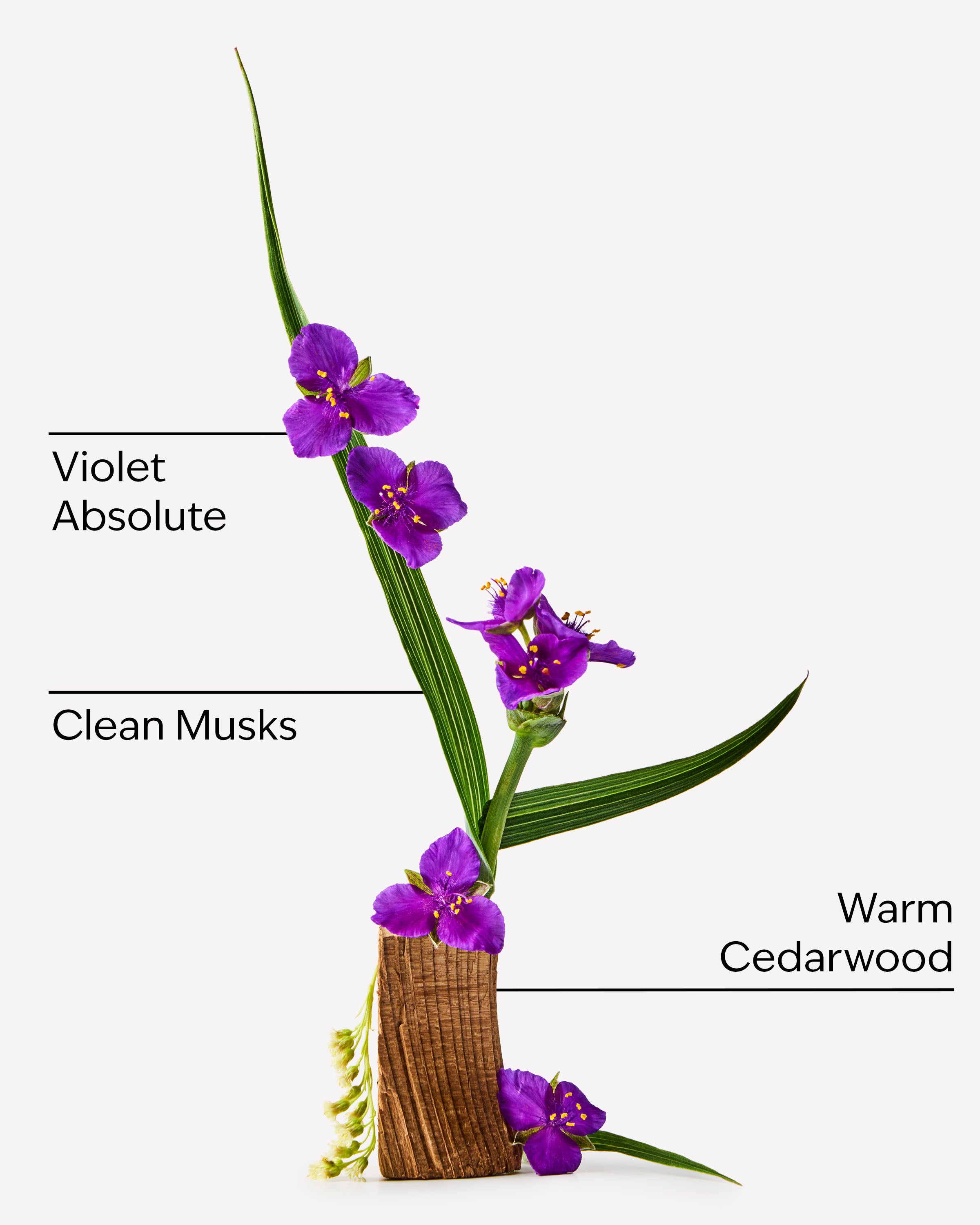 Very Violet by Bath & Body Works - Image 4