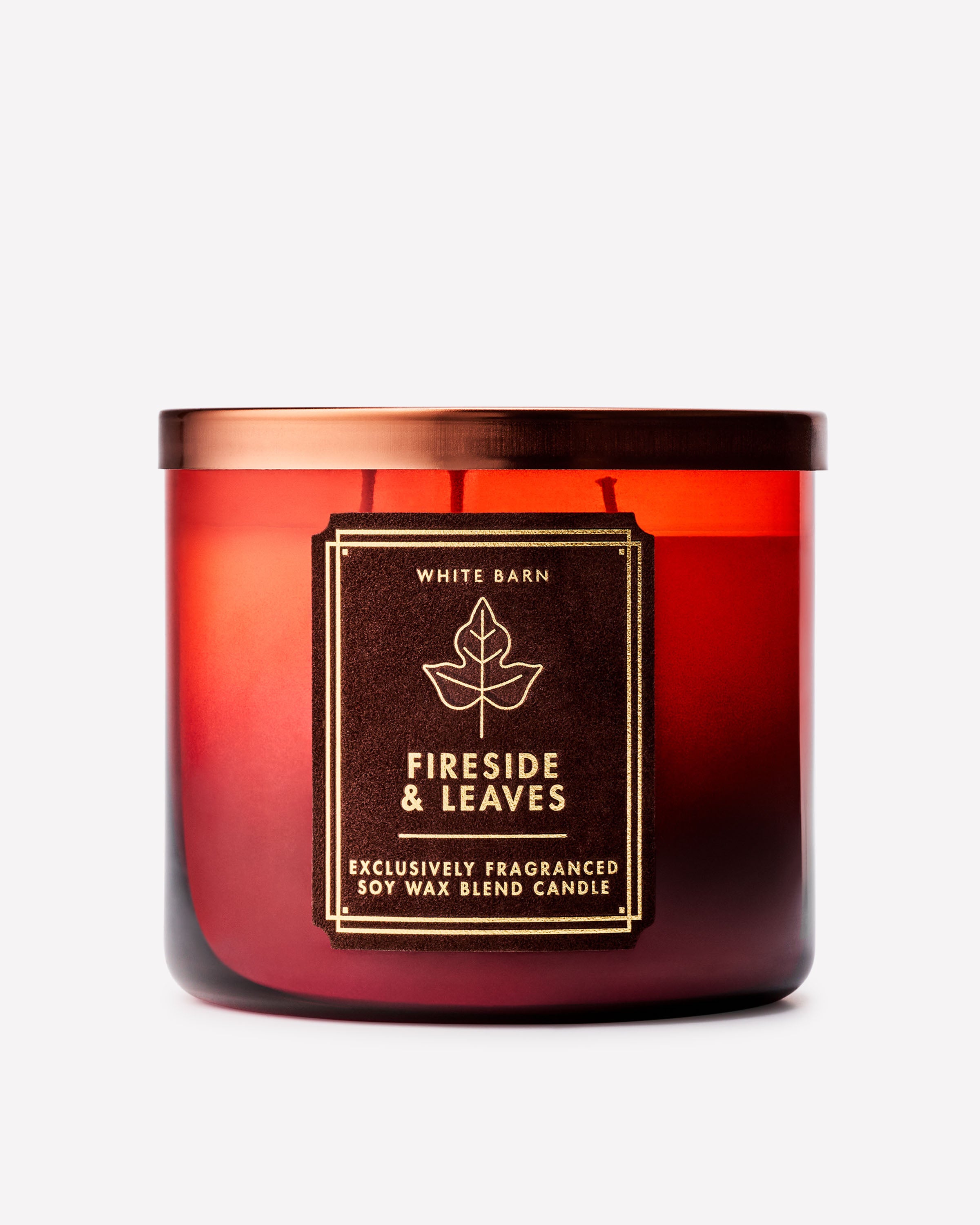 NEW! Fireside & Leaves