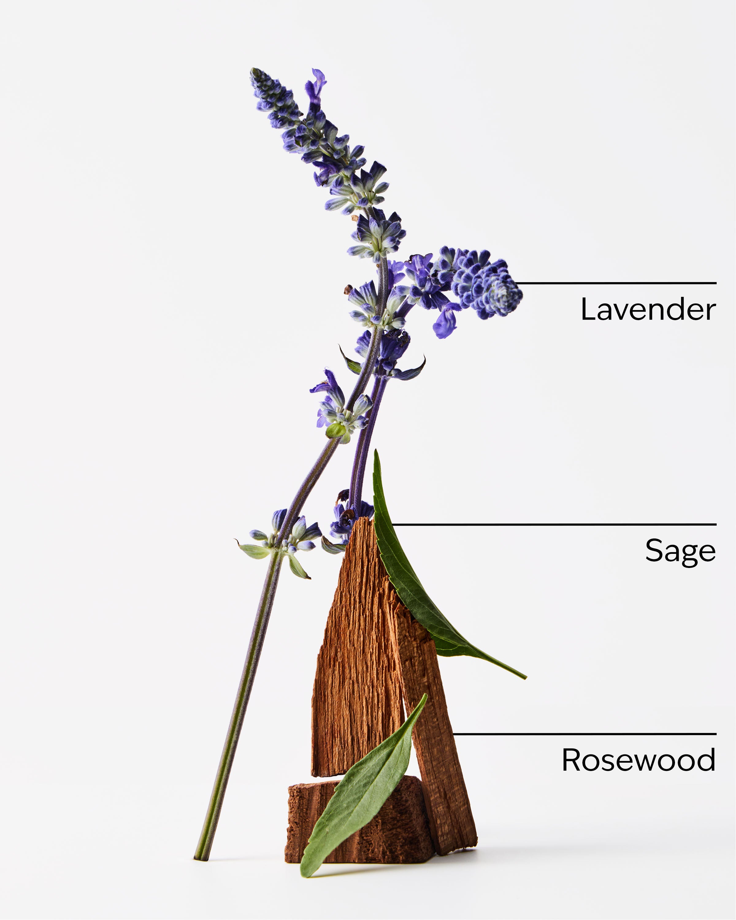 Lavender + Jasmine Single Wick Candle - Image 3