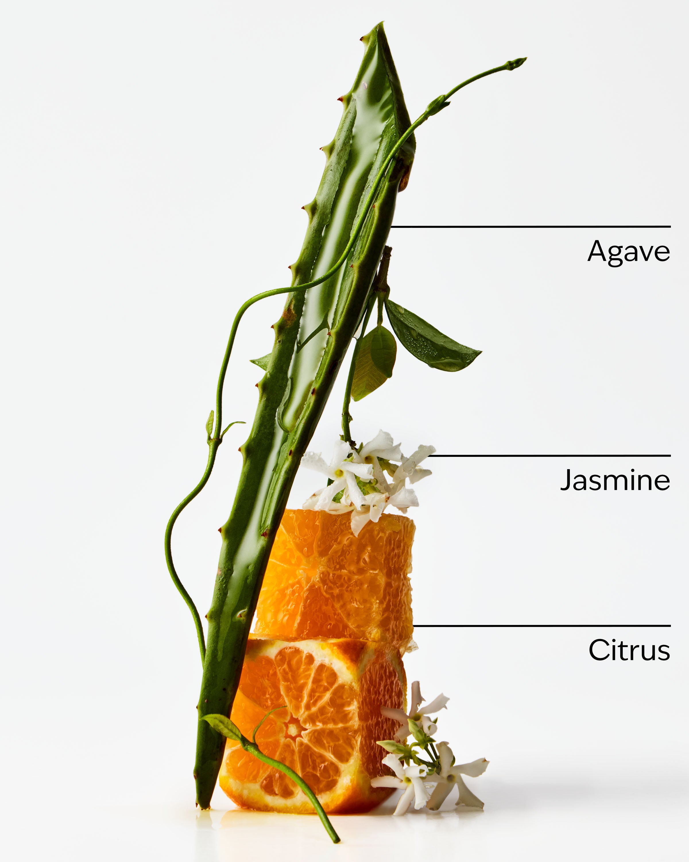 Sweet Orange + Agave 4-Wick Candle - Image 3