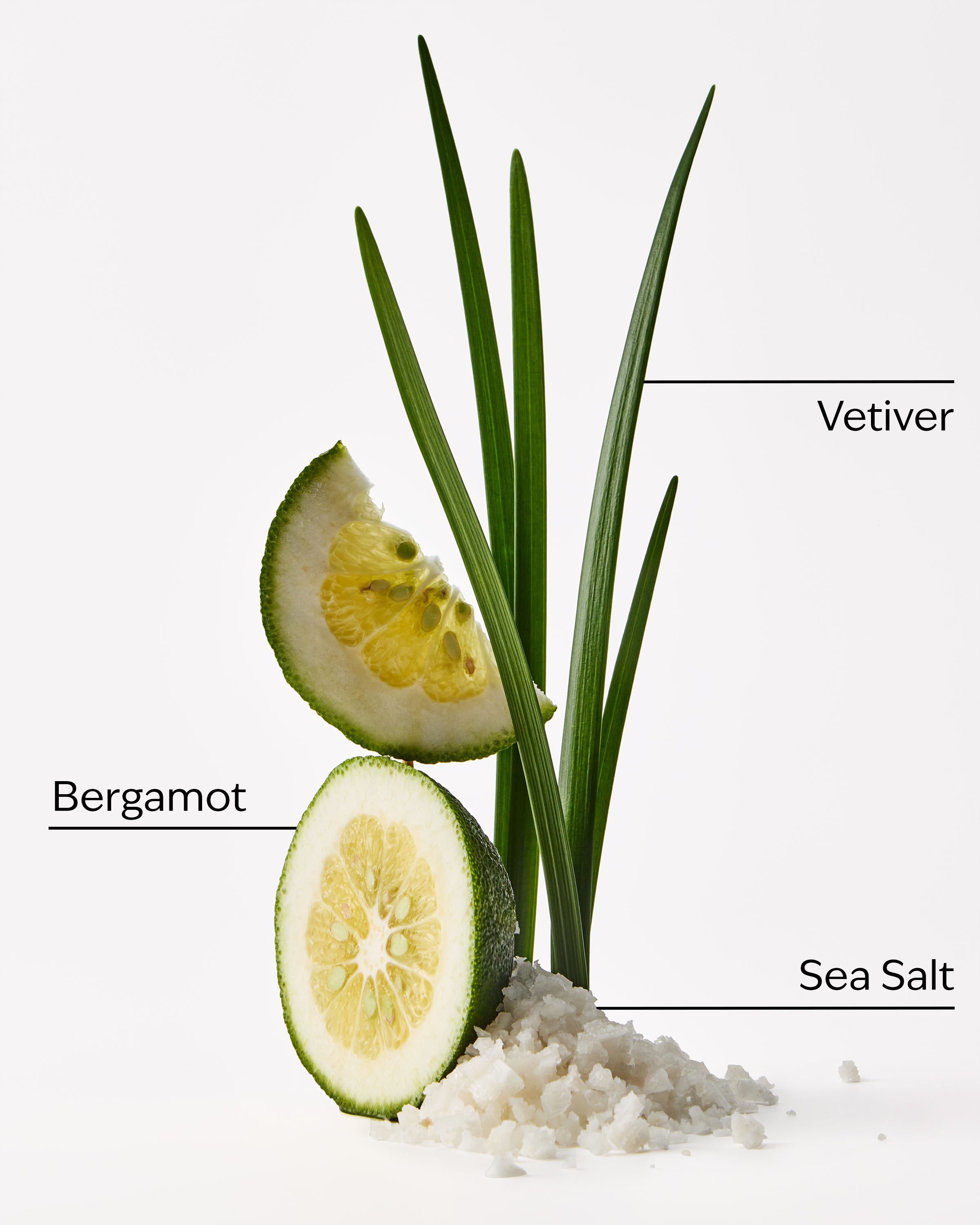 Sea Salt + Musk Fragrance-Infused Liquidless Reeds - Image 3