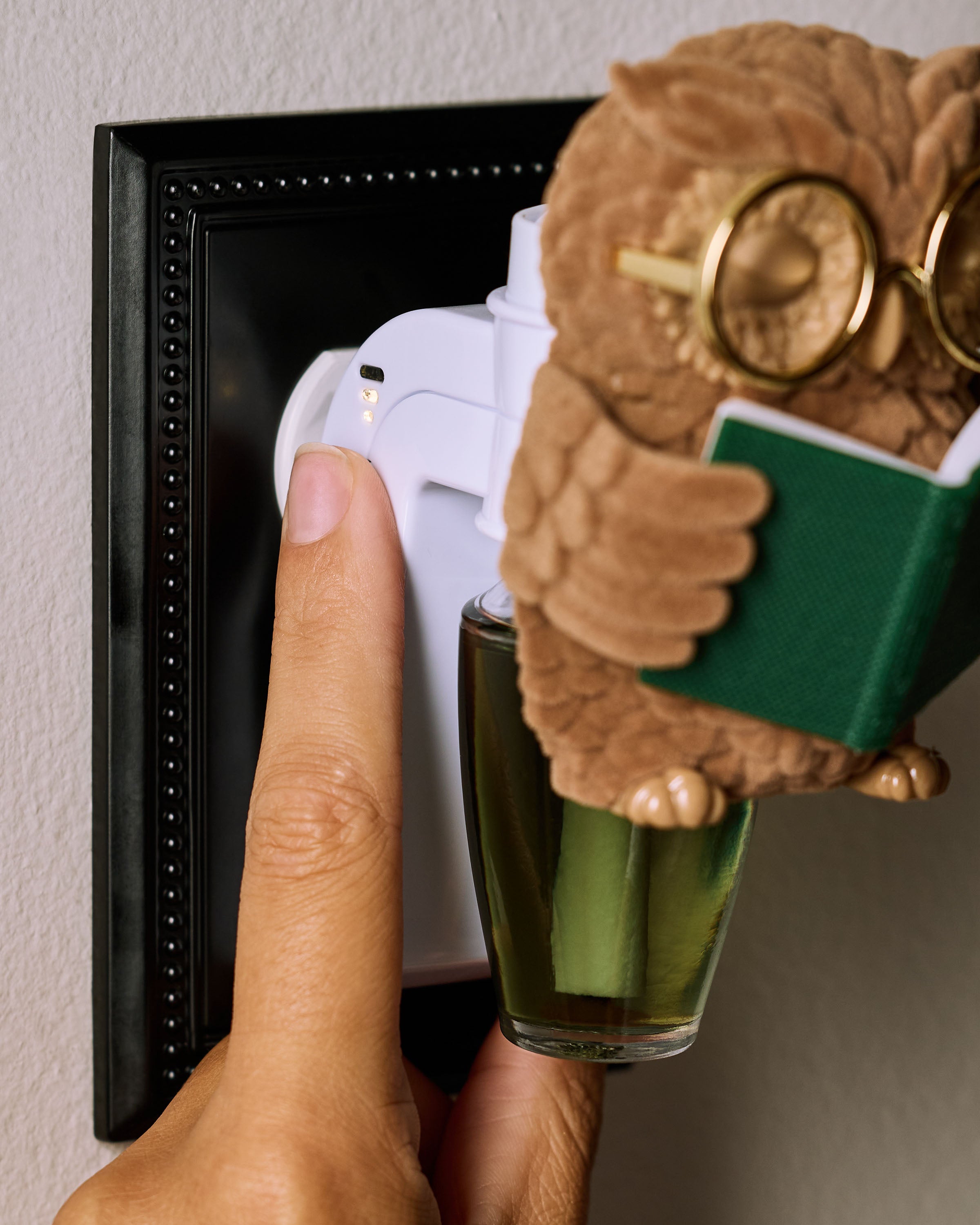 Reading Owl Scent Control - Image 4