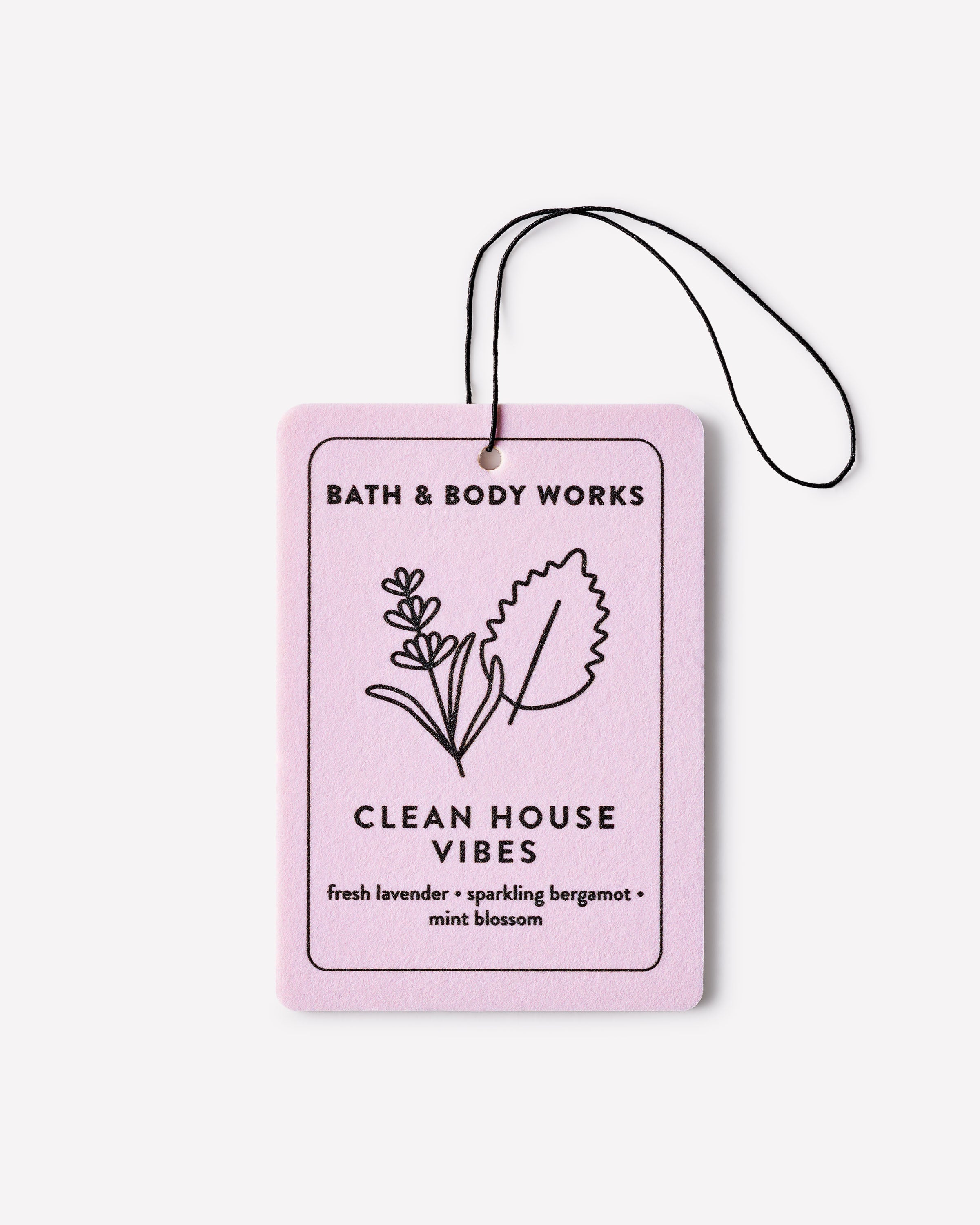 CLEAN HOUSE VIBES