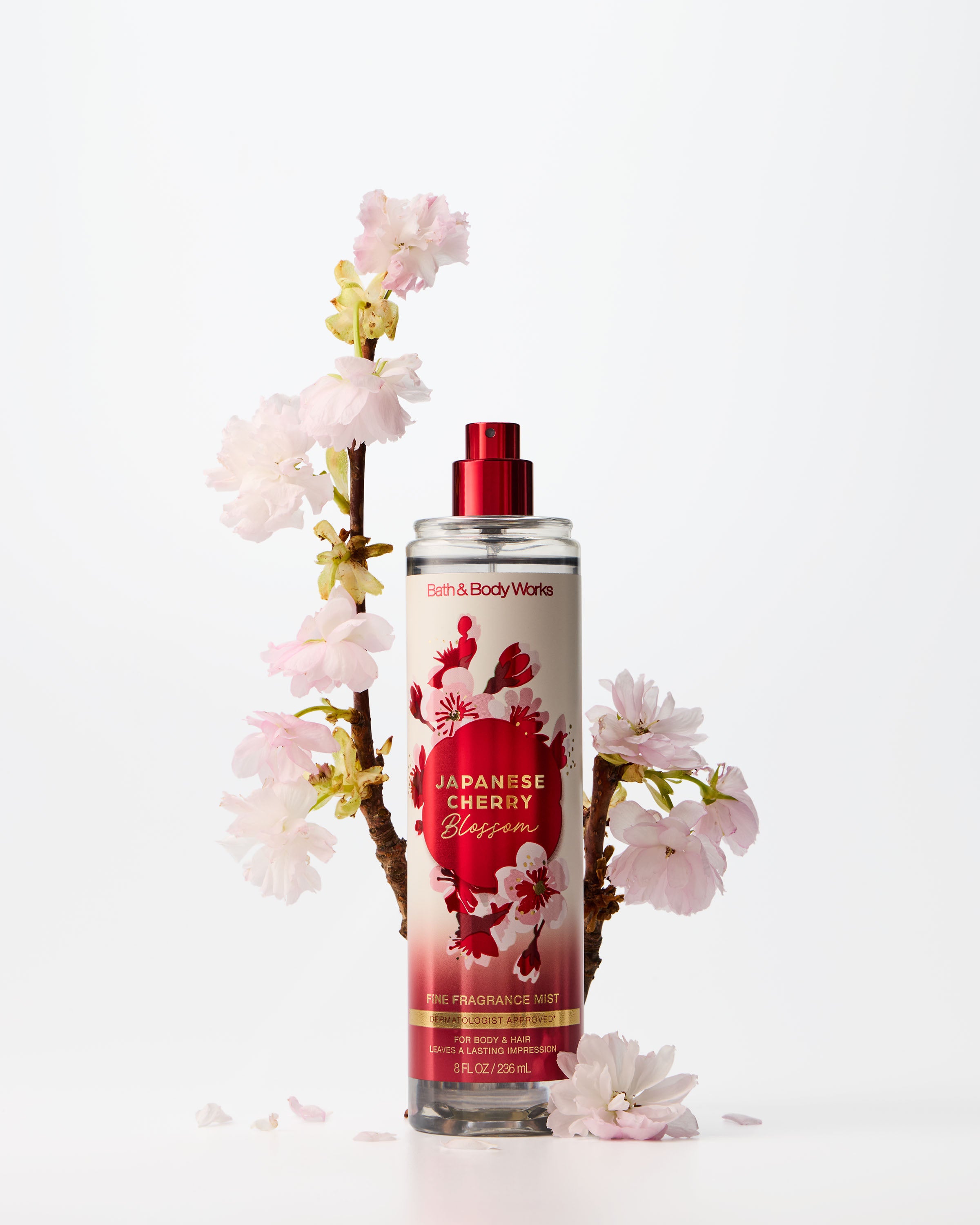 JAPANESE CHERRY BLOSSOM - Image 4