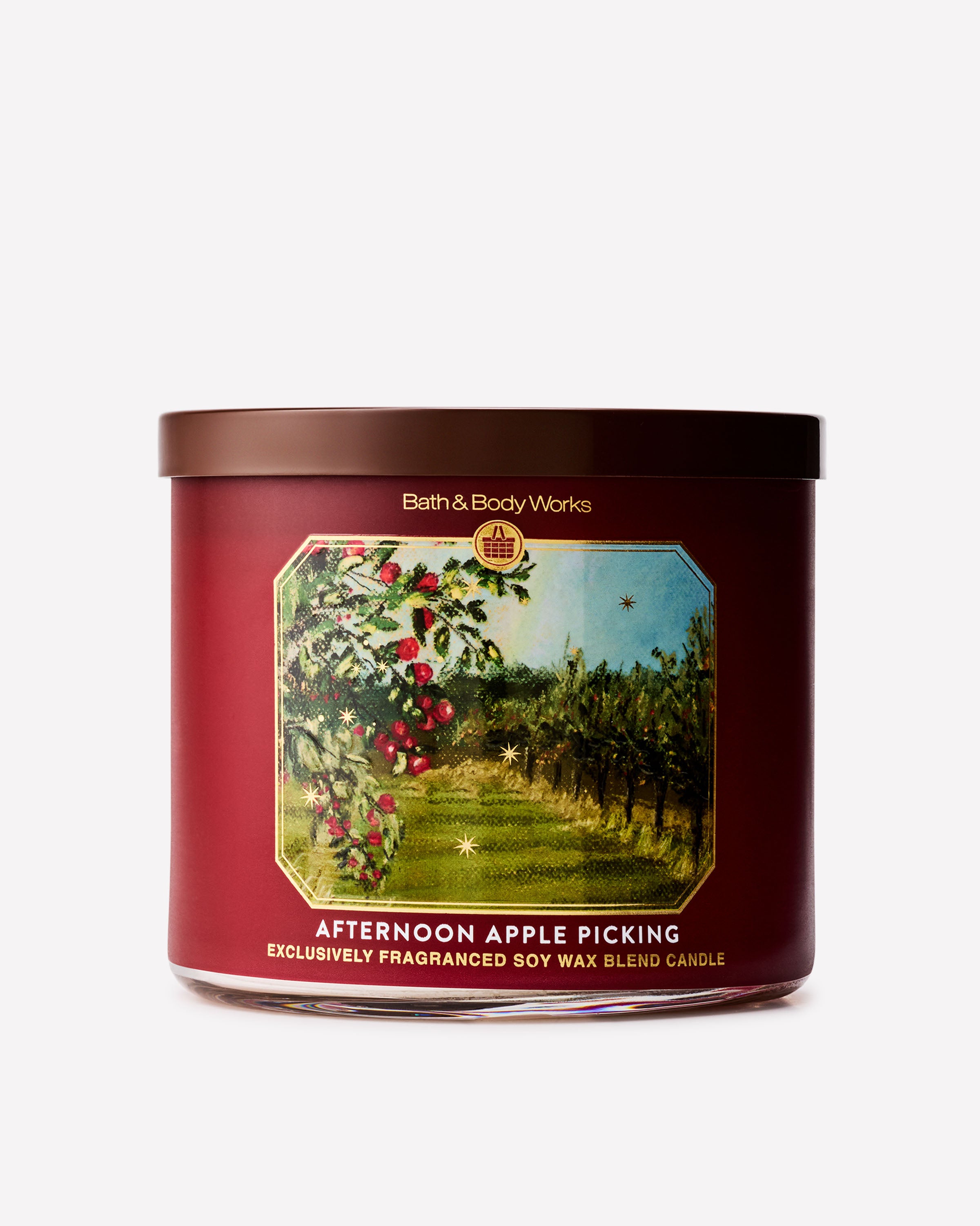 Afternoon Apple Picking