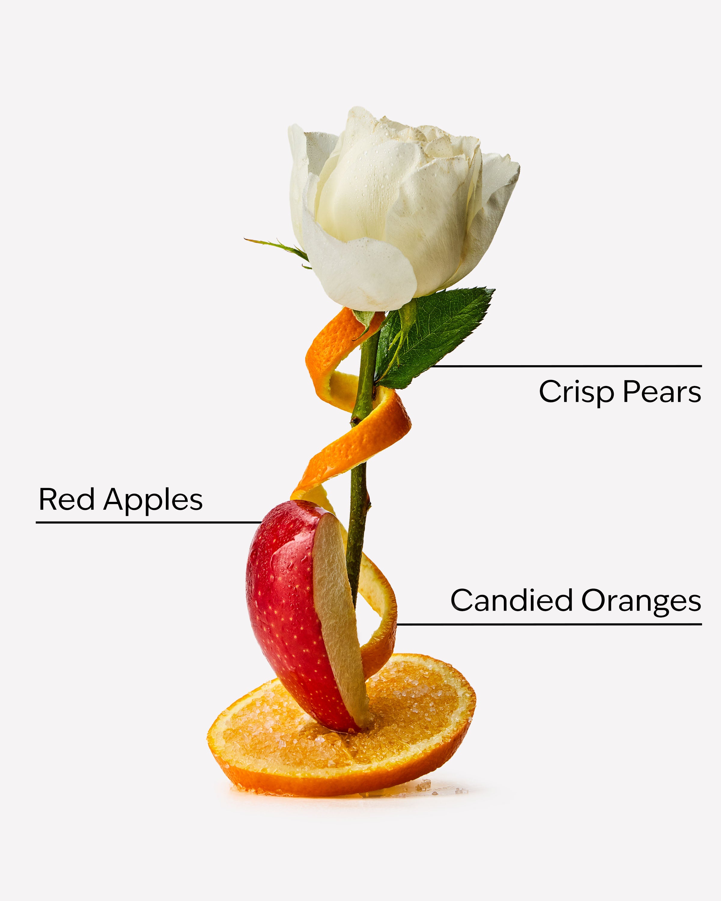 Winter Candy Apple Wallflowers Refills 2-Pack - Image 2